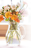 flowers c